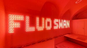 The Fluo Swan - la mostra dell'artista Anna Scalfi Eghenter presso Ar/GE Kunst di Bolzano - l'opera neo The Fluo Swan